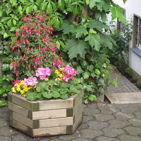 Gasthuis Heidi's Art *