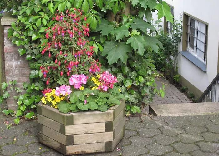 Gæstehus Heidi's Art *